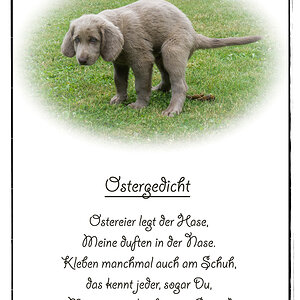 Ostergedicht