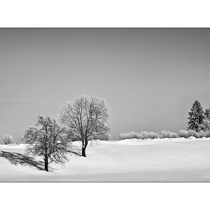 SchneePZ1 9566