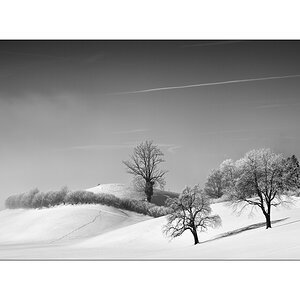 SchneePZ1 9573