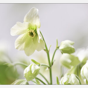 20170409 DSC 2977