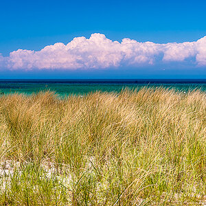 Gras und Meer