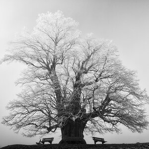 20151228 122841 2