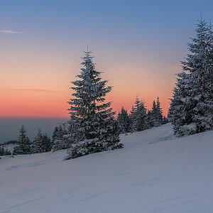 Winter