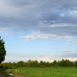 In der Abendsonne