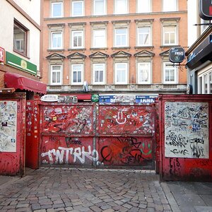 Hamburgnfa
