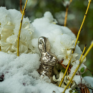 Osterblumenkörbchen im Schnee