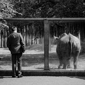 Zoo