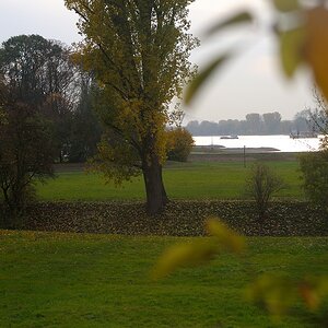 (C)K.R. DSC 1320 01