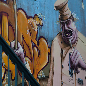 DSC 3361 NF