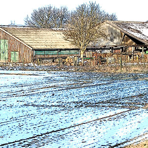 Stall im Winter