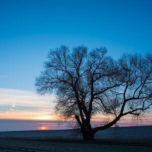Februar17