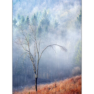 ClaudiaPZ1 0046 00009