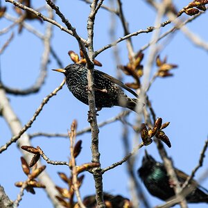 H001891c
