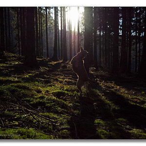 Y72 0109 Deister