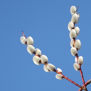 P1000576