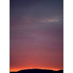 MorgenPZ1 1155