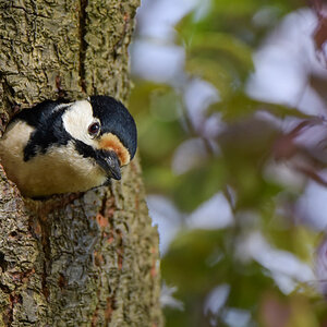 DSC5093