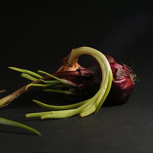 (C)K.R. DSC 9979