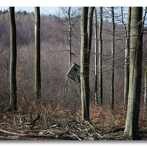 Y72 0010 Deister März WEB
