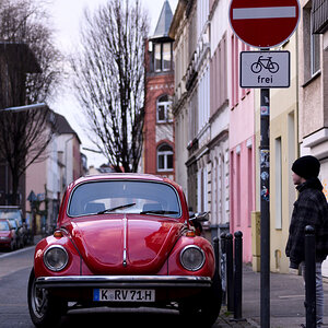 roter Käfer 01