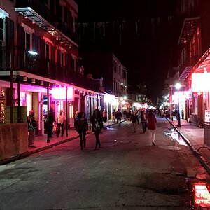 IMG 0339