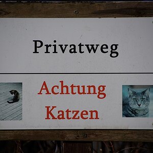 schild2