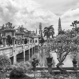 Bali Wasserpalst