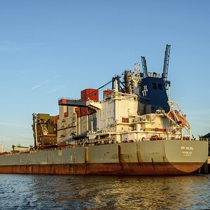 TZ ZIM 3440