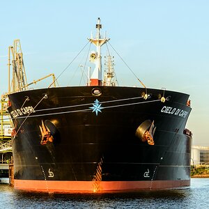 TZ ZIM 3459