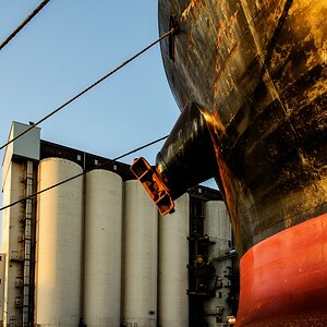 TZ ZIM 3470