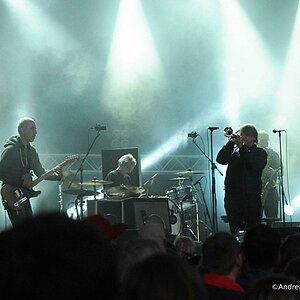"Elements of Crime" beim "Watt En Schlick" Festival 2016, Dangast am Jadebusen