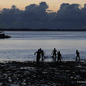 Baden im Watt beim "Watt En Schlick" Festival 2016, Dangast am Jadebusen