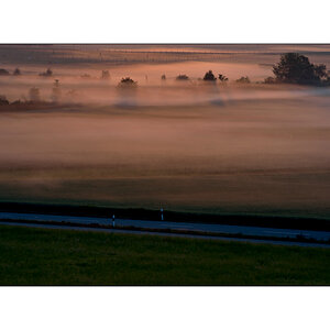MorgenPZ1 2100