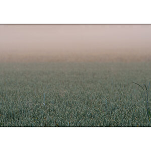MorgenPZ1 2106