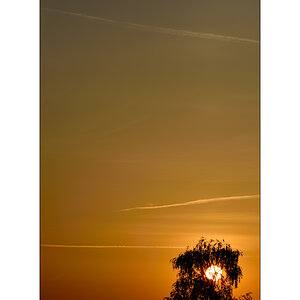MorgenPZ1 2113