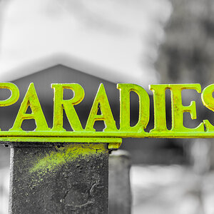 Paradies Colorkey