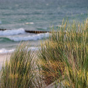 Zingst NFF 4