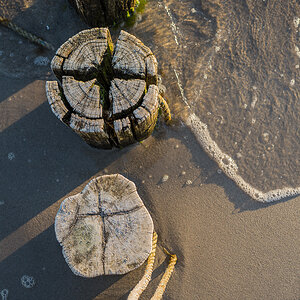 Zingst NFF 6