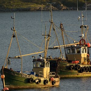 boote