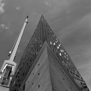 DSC 1503