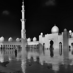 TS6 3475 DxO k Scheich Zayid Moschee