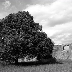 DSC 14737   Ruine Hohentwiel