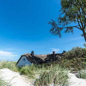 Zingst NFF 11