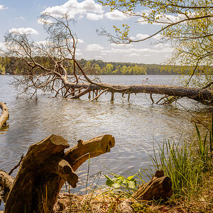 Schmoldesee