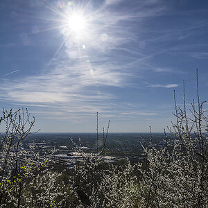 sonne satt im fruehling
