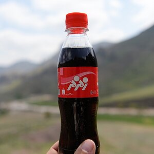 s145 Sheykhsafi Pipi Cola 8481