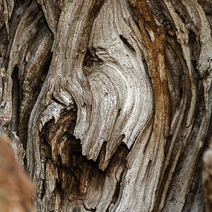 Halloween Baum 2