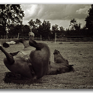 Y72 0934 WEB FORUM B&W