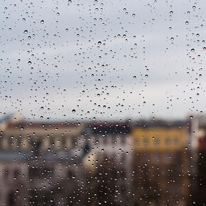 Regenmorgen II