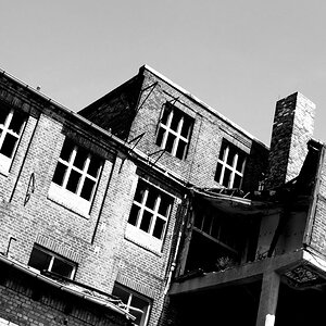 DSC 2782
